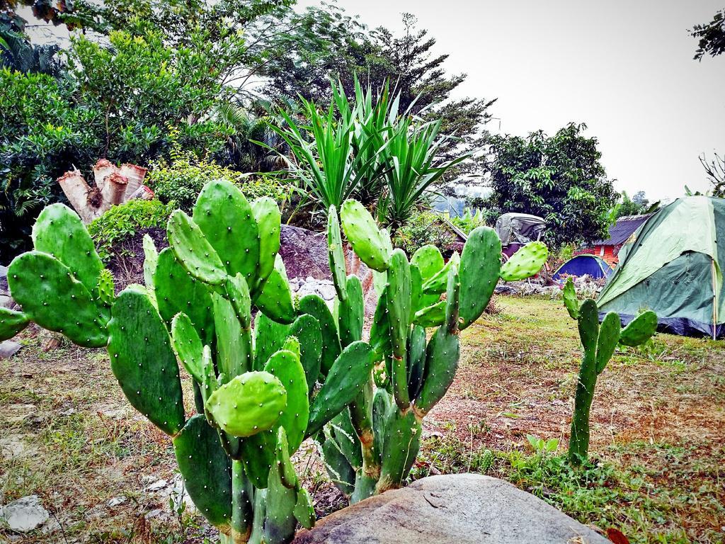 Baan Pai Likit Hotel Bagian luar foto